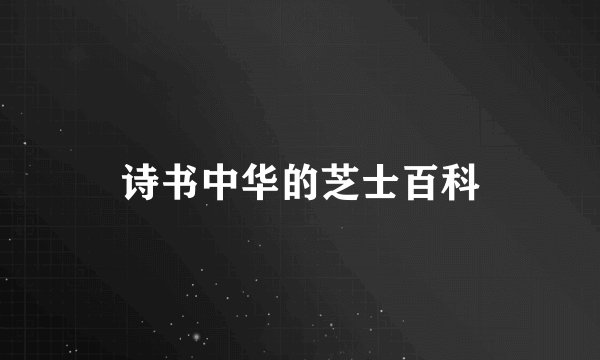 诗书中华的芝士百科