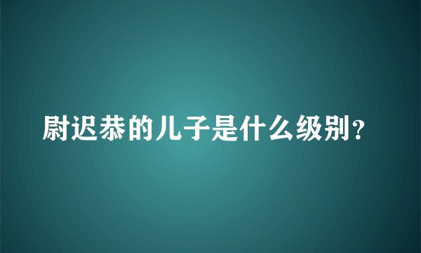 尉迟恭的儿子是什么级别？