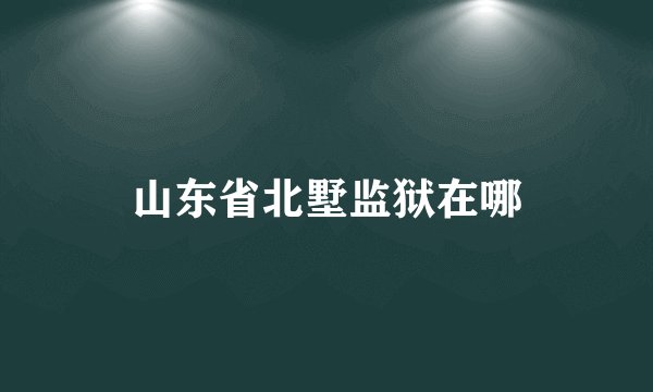 山东省北墅监狱在哪