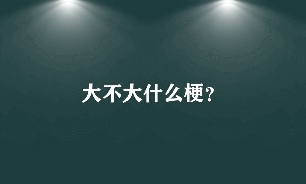 大不大什么梗？
