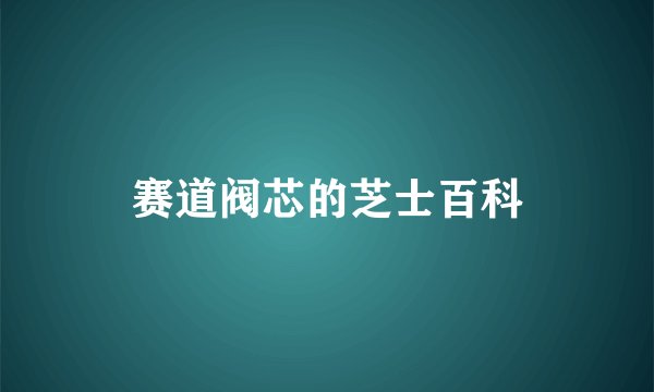 赛道阀芯的芝士百科