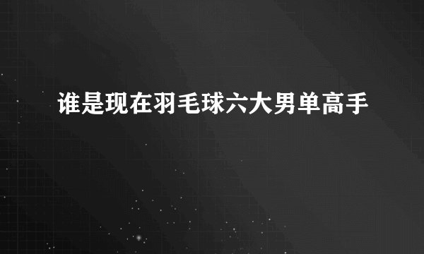 谁是现在羽毛球六大男单高手