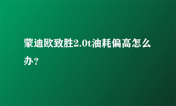 蒙迪欧致胜2.0t油耗偏高怎么办？