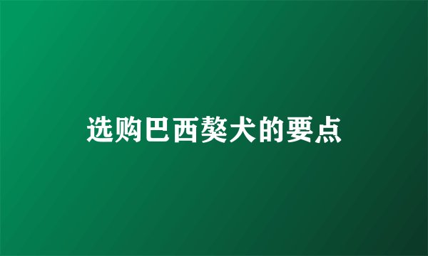 选购巴西獒犬的要点