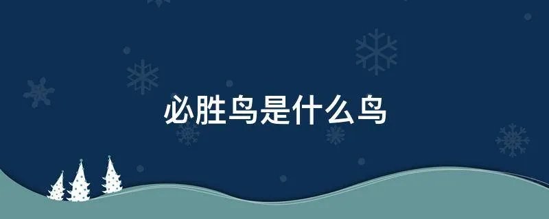 必胜鸟是什么鸟