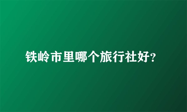 铁岭市里哪个旅行社好？