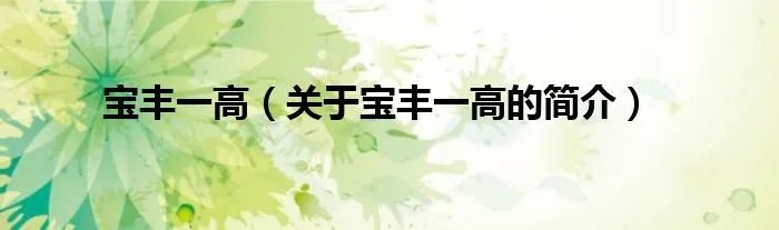 宝丰一高（关于宝丰一高的简介）