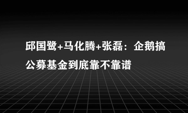 邱国鹭+马化腾+张磊：企鹅搞公募基金到底靠不靠谱