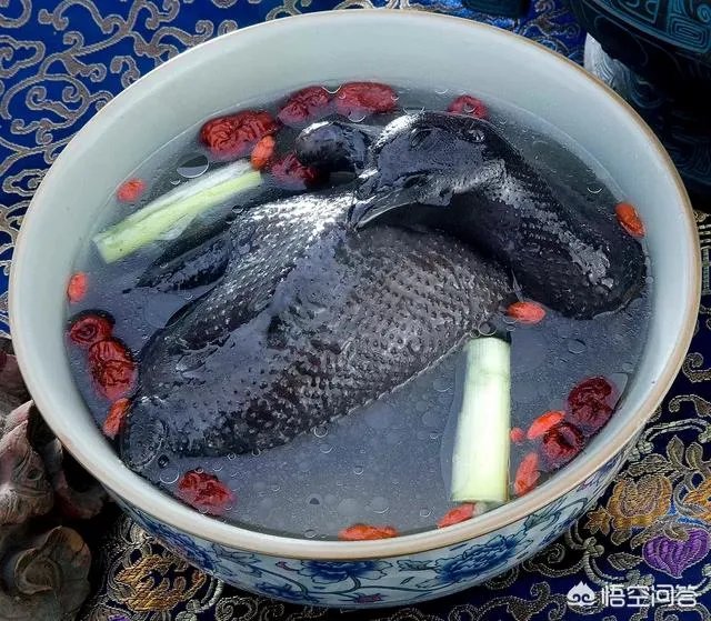 养绿壳蛋鸡有前景吗？有什么好建议？