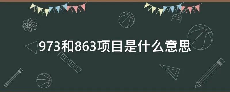 973和863项目是什么意思