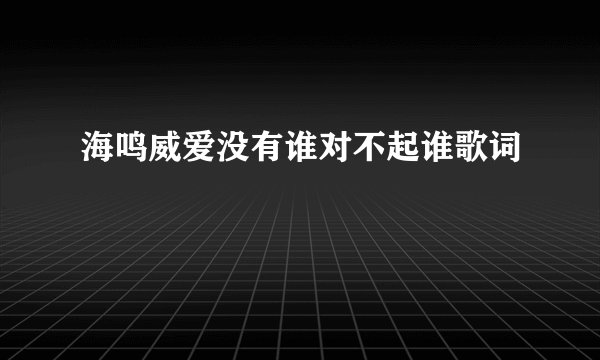 海鸣威爱没有谁对不起谁歌词