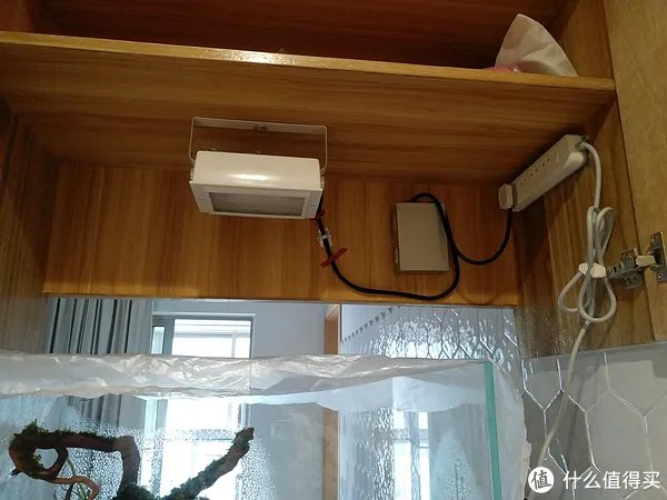 造景 篇一:小白也能玩草缸—聊一聊我的水草缸造景历程