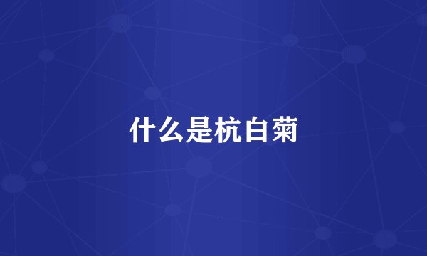 什么是杭白菊