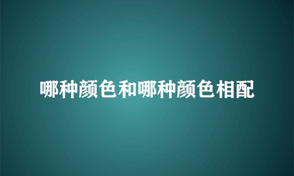 哪种颜色和哪种颜色相配