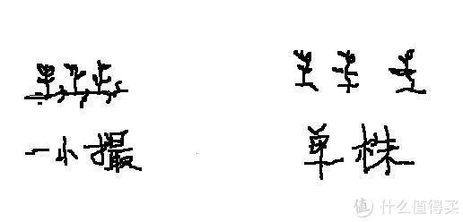 造景 篇一:小白也能玩草缸—聊一聊我的水草缸造景历程