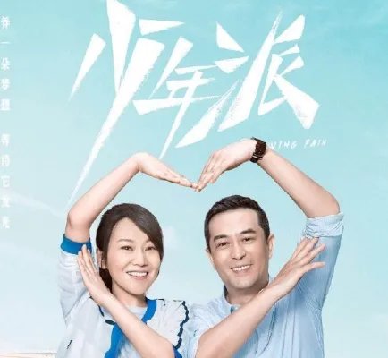 少年派的结局是什么?林大为王胜男最后怎么样了?