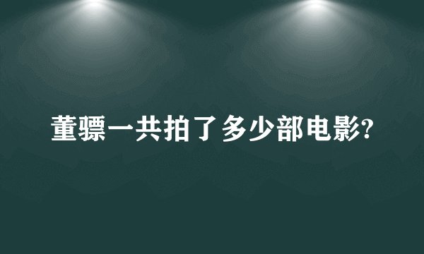董骠一共拍了多少部电影?