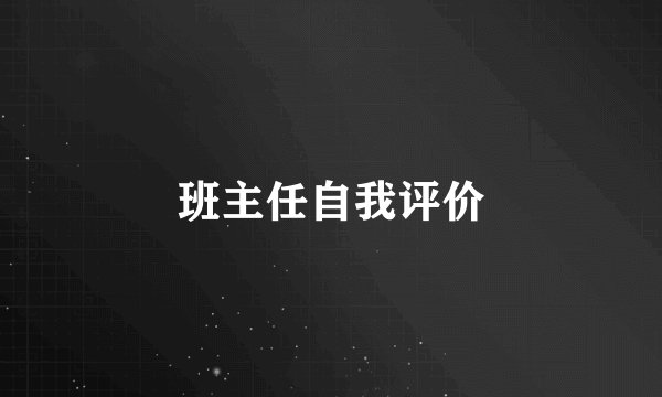 班主任自我评价