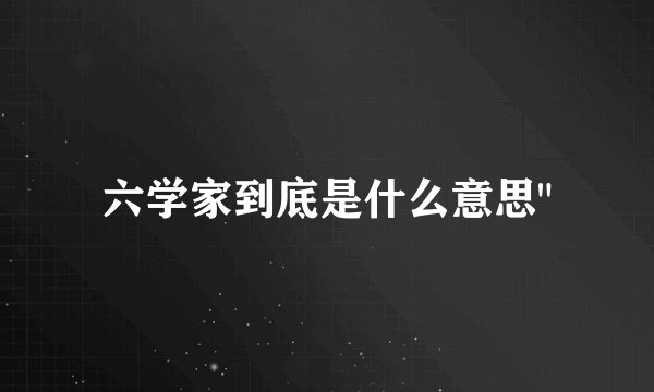 六学家到底是什么意思