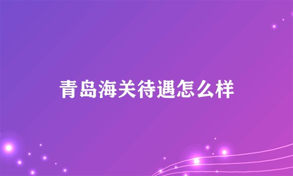 青岛海关待遇怎么样