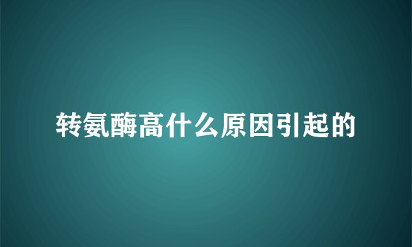转氨酶高什么原因引起的