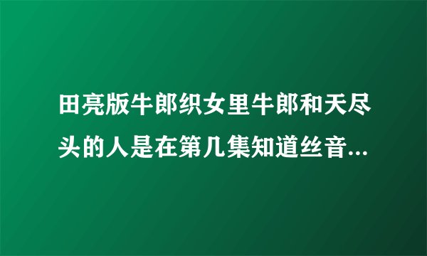 田亮版牛郎织女里牛郎和天尽头的人是在第几集知道丝音是神仙的？