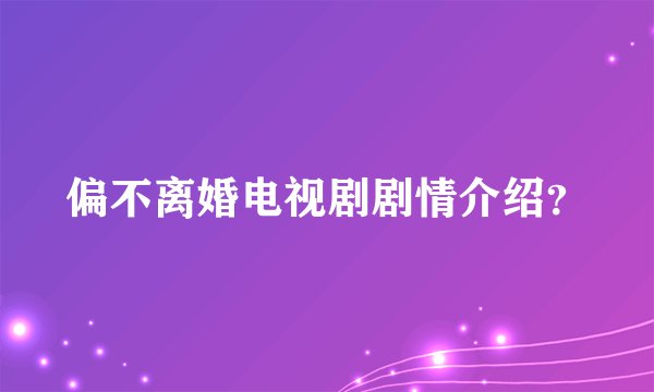 偏不离婚电视剧剧情介绍？
