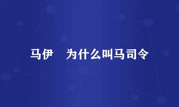 马伊琍为什么叫马司令