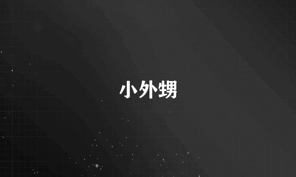 小外甥
