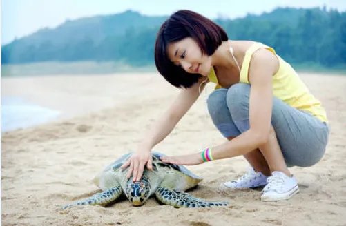 2019年邓家佳与丈夫离婚,离婚对她意味着什么?