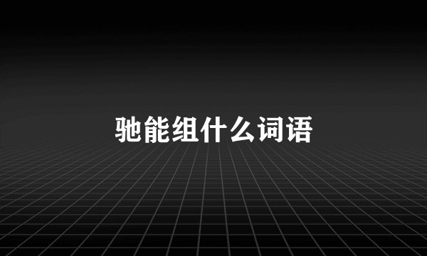 驰能组什么词语