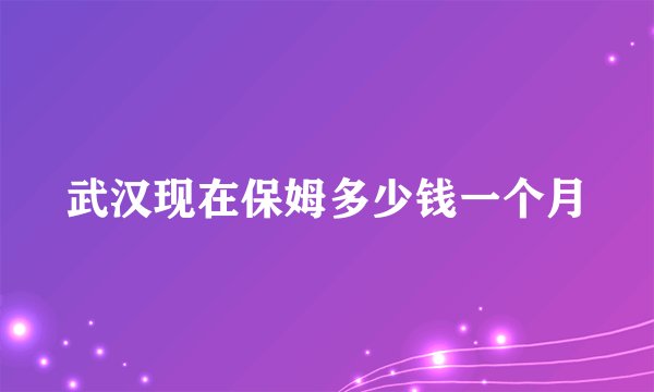 武汉现在保姆多少钱一个月