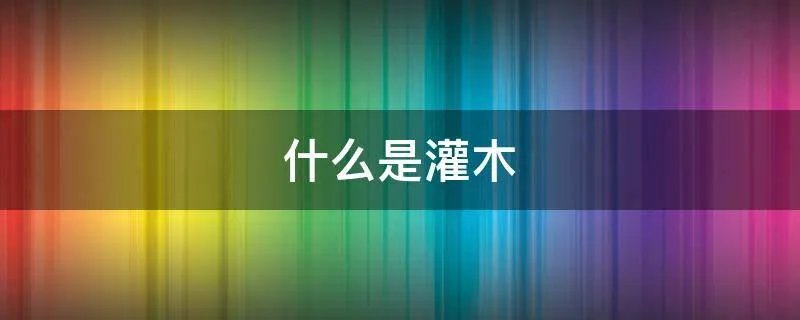什么是灌木