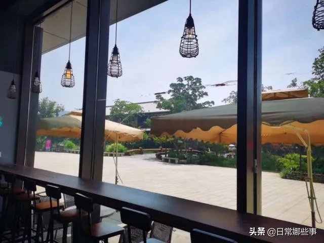 习惯一个人生活
