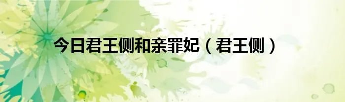 今日君王侧和亲罪妃（君王侧）