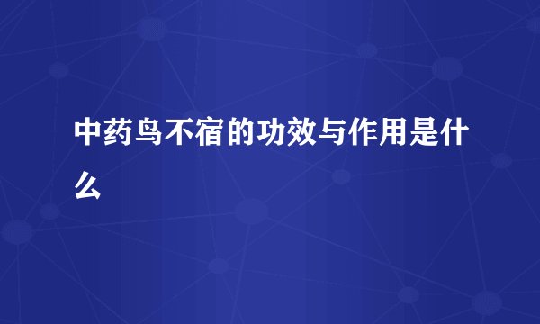 中药鸟不宿的功效与作用是什么