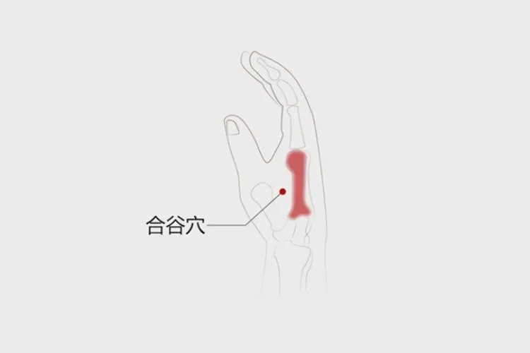 睡眠点位置图