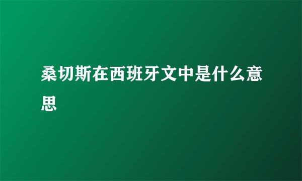 桑切斯在西班牙文中是什么意思
