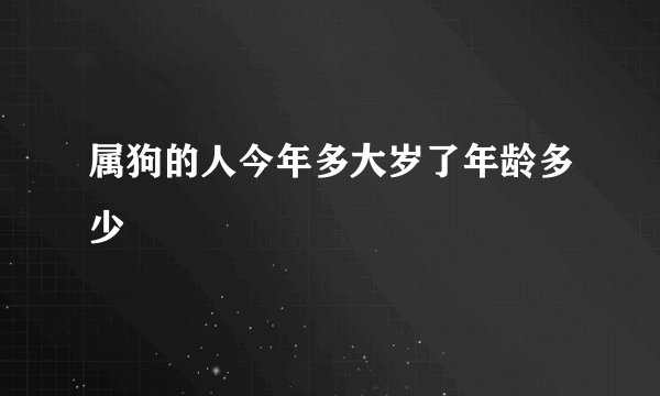 属狗的人今年多大岁了年龄多少