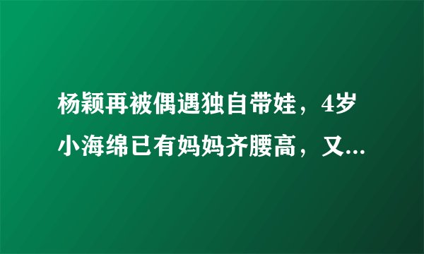 杨颖再被偶遇独自带娃，4岁小海绵已有妈妈齐腰高，又不见黄晓明