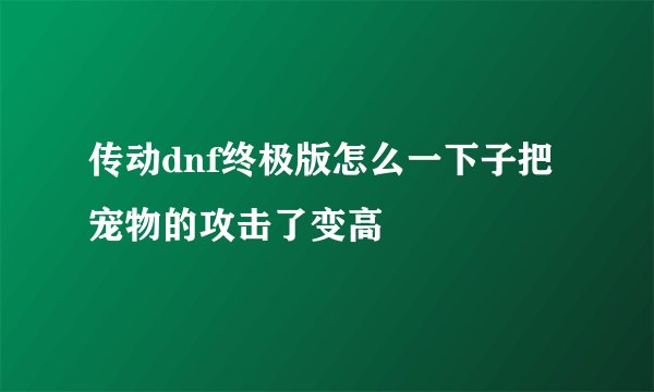 传动dnf终极版怎么一下子把宠物的攻击了变高