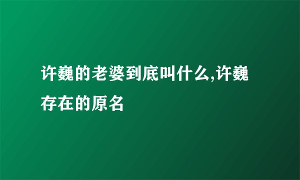 许巍的老婆到底叫什么,许巍存在的原名