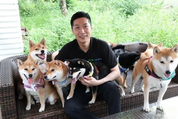 马浚伟感情