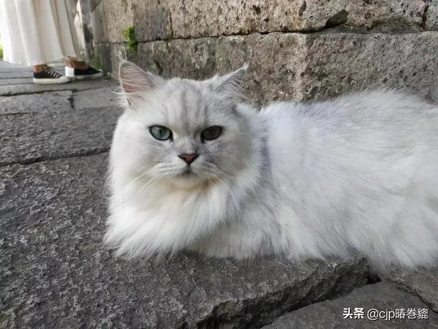杭州周边一日游都有哪些好玩的选择?