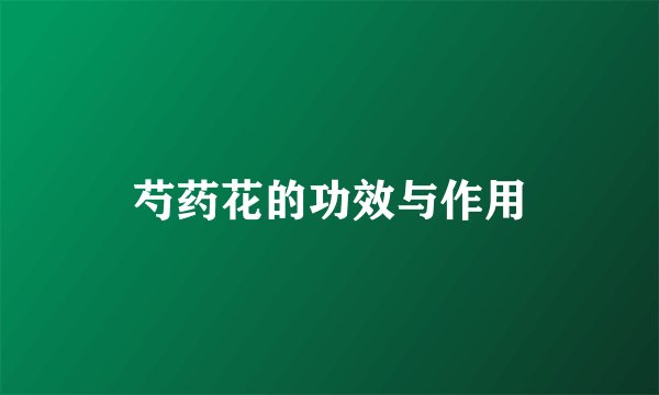 芍药花的功效与作用