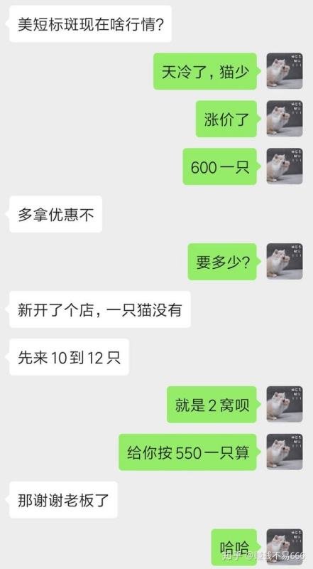 开个宠物店大概多少钱？