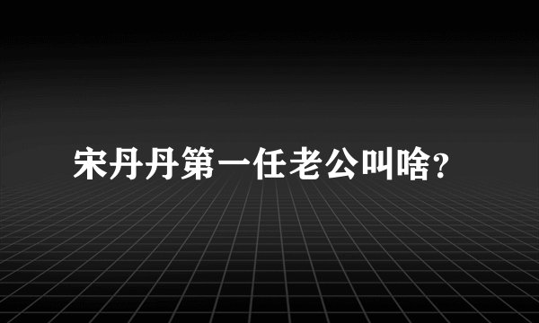 宋丹丹第一任老公叫啥？