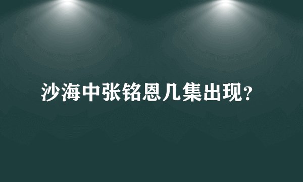 沙海中张铭恩几集出现？