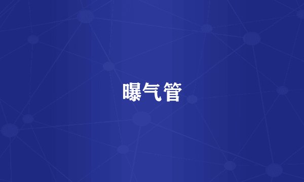 曝气管