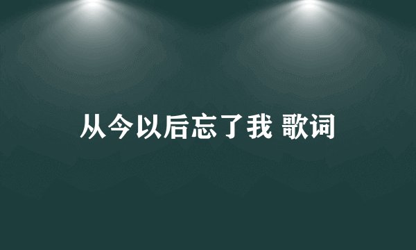 从今以后忘了我 歌词